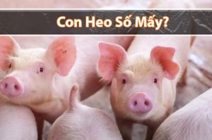 Con heo số mấy? Mơ thấy heo đánh đề con gì?