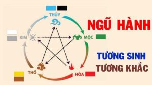 Cùng nghe chuyên gia phong thủy lý giải: Mệnh thổ hợp số mấy?