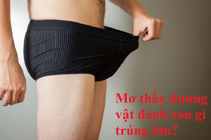 Mơ thấy của quý đàn ông đánh con gì và có điểm báo gì?