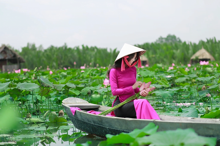 Mơ thấy hoa sen đánh con gì? Đánh con đề nào để trúng?