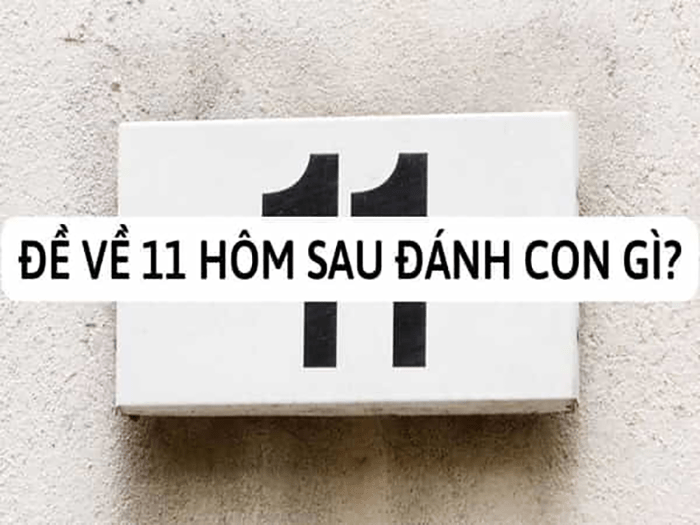 Đề về 11 hôm sau đánh con gì?