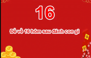 Giải mã giấc mơ về số 16 - Đề về 16 hôm sau đánh con gì?