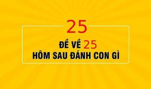 Đề về 25 hôm sau đánh con gì? Ý nghĩa của cặp số 25