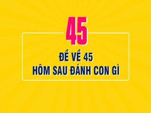 Đề về 45 hôm sau đánh con gì? Giải mã ý nghĩa con số 45 khi đánh lô đề online